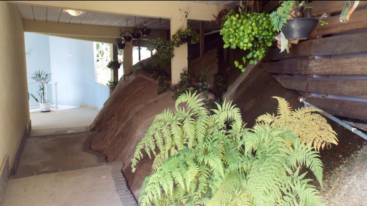 Pousada In Garden Teresópolis エクステリア 写真